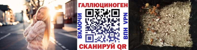 Галлюциногенные грибы MAGIC MUSHROOMS  Сыктывкар 
